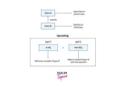 Runtime Polymorphism Dynamic Method Dispatch In Java Scaler Topics