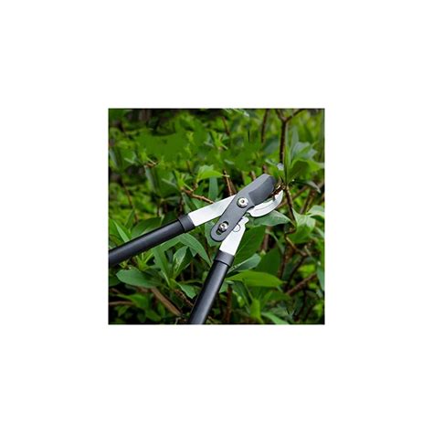 Buy Kapoo Bypass Lopper With Compound Action Chops Thick Branches With