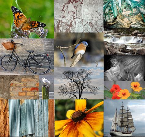 visual design collage set  behance