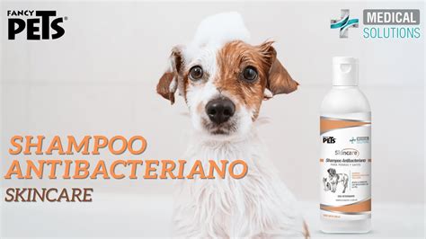 Skincare Shampoo Antibacteriano Fancy Pets Medical Solutions YouTube