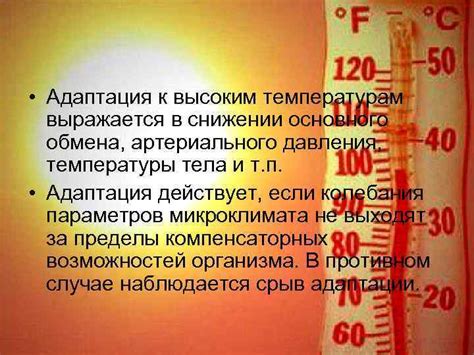 Адаптация человека к высоким температурам Подготовила Елина К