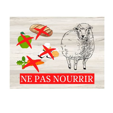 Plaque Ne Pas Nourrir Les Animaux Mod Le Mouton En M Tal Aluminium