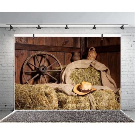 2 2X1 5M Vinyle Photographie Fond Western Cowboy Chapeau Foin Paille