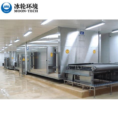 Industrial IQF Frozen Fruit And Vegetable Food Quick Freezing Machine