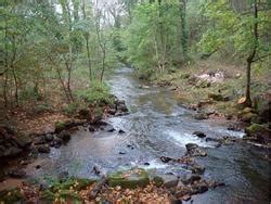 Cartographie Des Cours D Eau Guide D Entretien Eau Et Milieux