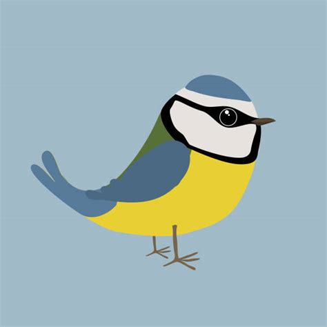 Blacktit Illustrations Royalty Free Vector Graphics And Clip Art Istock