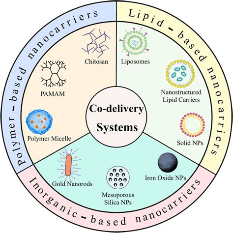 Frontiers Nanoparticle Drug Delivery Systems For Synergistic Delivery