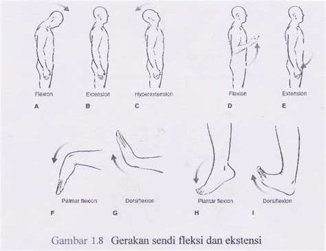 Kinesiologi Suara Hatiku