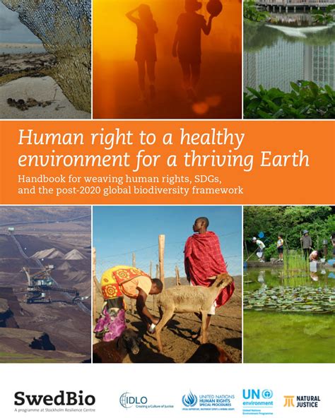 Human Right To A Healthy Environment For A Thriving Earth SwedBio