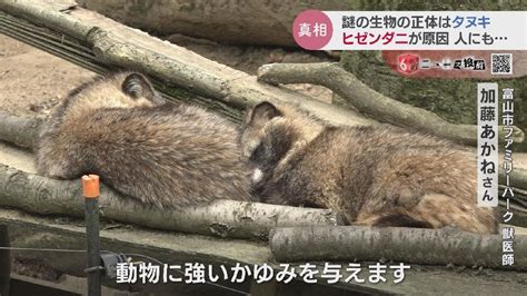 富山に“謎の生物”ハイエナ？実は病気になった“あの動物”「人にもうつる可能性。近づかないで」 Tbs News Dig 2ページ