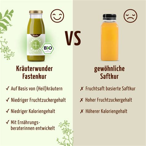 Fastendrink Nahrungserg Nzung Gesund Nat Rlich Leben