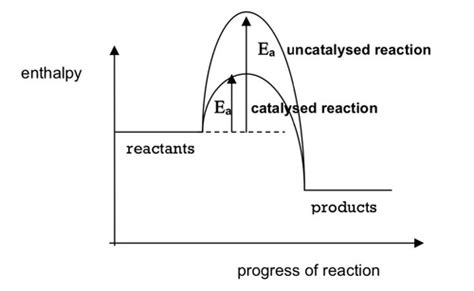 Chemistry Rates Of Reaction Flashcards Quizlet