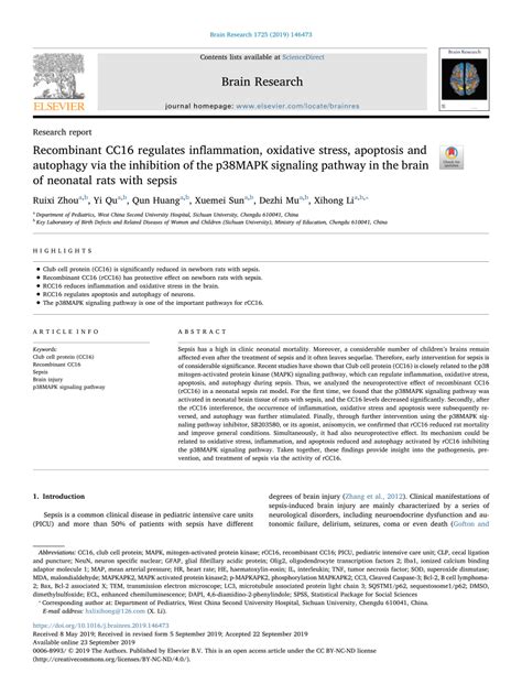 Pdf Recombinant Cc16 Regulates Inflammation Oxidative Stress Apoptosis And Autophagy Via The