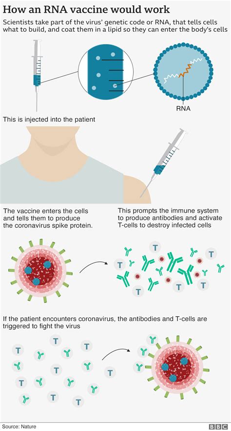 Covid Vaccine Side Effects Feet : Coronavirus Treatment Most Common ...