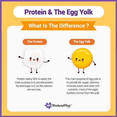 Egg Size Comparison Bakery Basic Knowledge My Weekend Plan