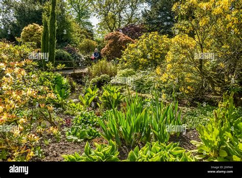 Arley hall gardens hi-res stock photography and images - Alamy