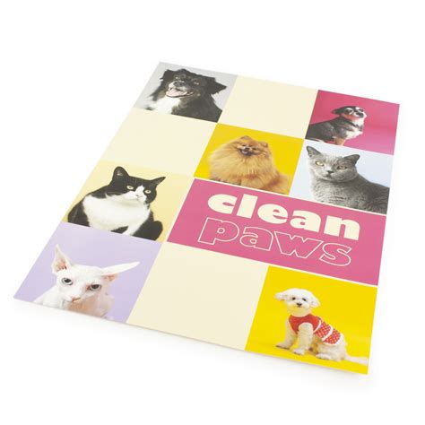 Synthetic Flat Brochure Cmyk Colour Online