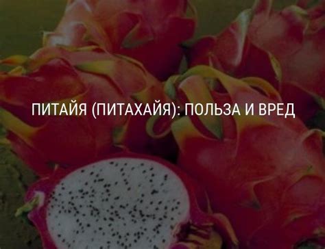 Питайя (питахайя): польза, вред драконьего фрукта, химический состав и ...