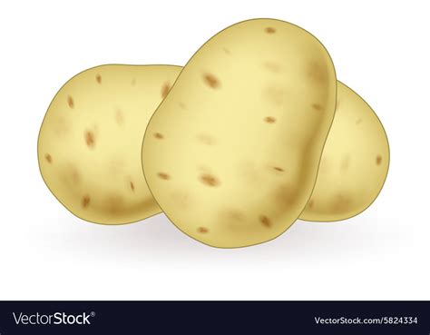 Cartoon Potato Royalty Free Vector Image Vectorstock