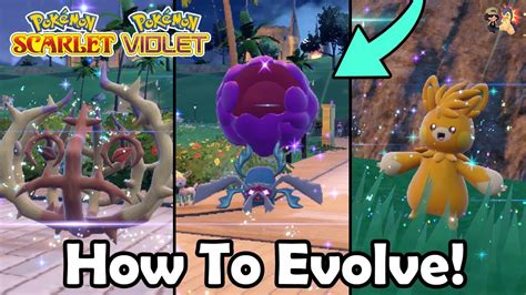 How To Evolve Pawmo Bramblin Rellor In Pok Mon Scarlet Violet