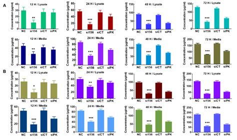 Ijms Free Full Text Knockdown Of Pyruvate Kinase M2 Inhibits Cell