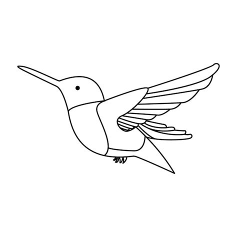 Premium Vector Hummingbird Single Continuous One Line Out Line Vector