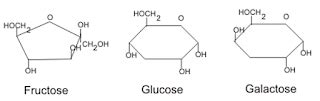 Monosaccharides Definition Structure Examples