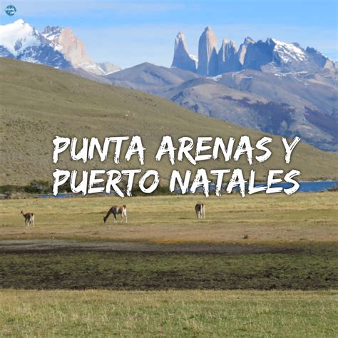 Punta Arenas Y Puerto Natales Para Un Viaje Familiar Viajando Lento Blog