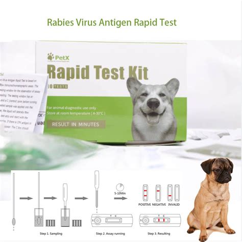 Rabies Virus Antigen Rabies Ag Rapid Test For Dog China Rapid Test