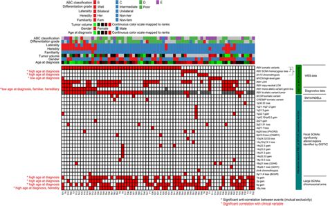 Landscape Of Somatic Alterations In Retinoblastoma A Binary Event