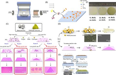 Synthesis Of Twodimensional Transition Metal Dichalcogenides For