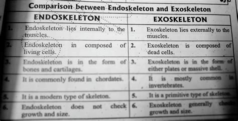 SOLUTION: Comparison Between Endoskeleton And Exoskeleton - Studypool