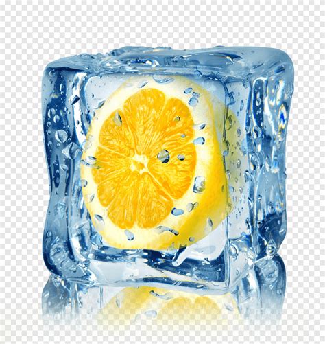 Sliced Lemon In Clear Cube Ice Cube Mint Graphy Flavor Oranges And