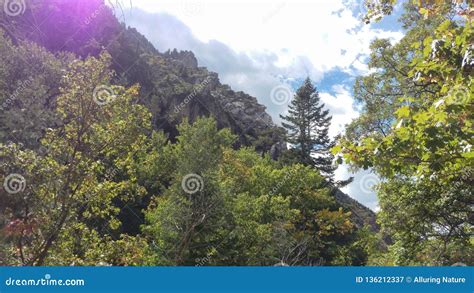 Craggy Cliffs in Rock Canyon Stock Image - Image of provo, rugged: 136212337