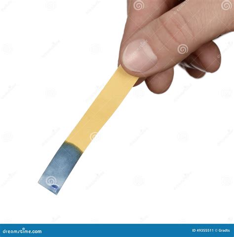 Litmus stock image. Image of testing, litmus, nutrition - 49355511