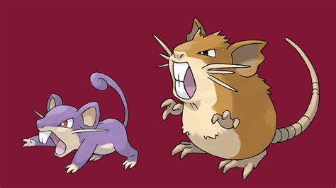 Rattata Raticate