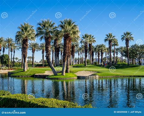 Palm Trees, Palm Desert Golf Course Stock Photo - Image of luxury ...