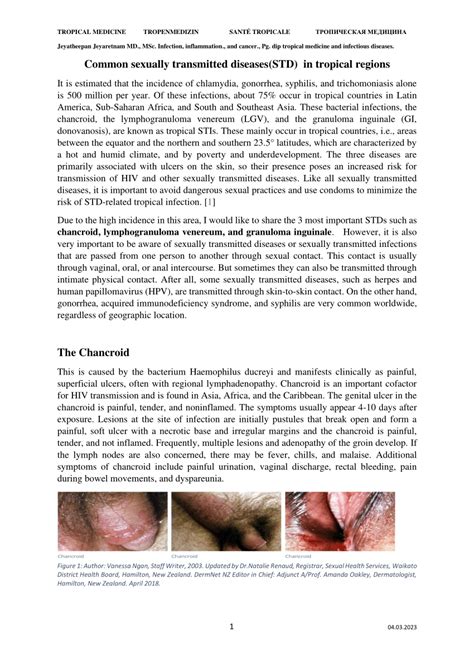 Pdf Tropical Medicine Tropenmedizin SantÉ Tropicale ТРОПИЧЕСКАЯ МЕДИЦИНА Common Sexually