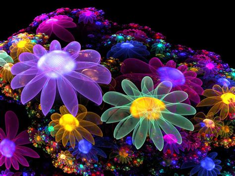 50 Beautiful Fractal Flowers