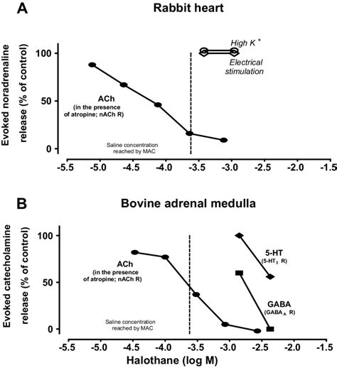 Effect Of Halothane On Catecholamine Release Evoked By Activation Of