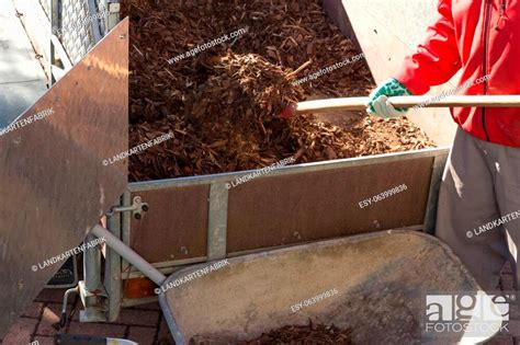 Shoveling Mulch Stock Photo Picture And Low Budget Royalty Free Image