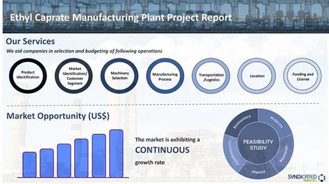 Ethyl Caprate Manufacturing Plant Project Report 2024