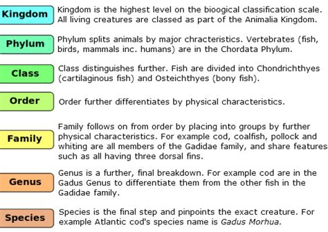 Biological_classification explanation of categories (fish) | Animal ...