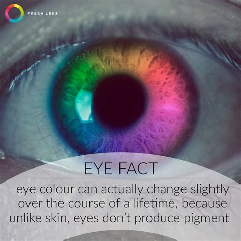 Eye facts #eyes #eye #eyefacts #science #facts #funfacts | Eye facts ...