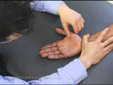 Thumb Carpometacarpal Flexion Extension Youtube