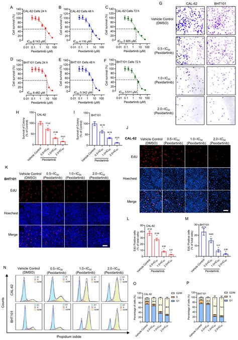 Pexidartinib Inhibits Atc Cells Proliferation Ac Viability Survival