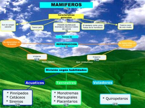 S Bana Jefe Rey Lear Cuales Son Las Principales Caracteristicas De Los