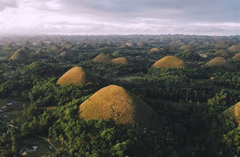 Bohol Island Travel Guide Where To Go And What To Do