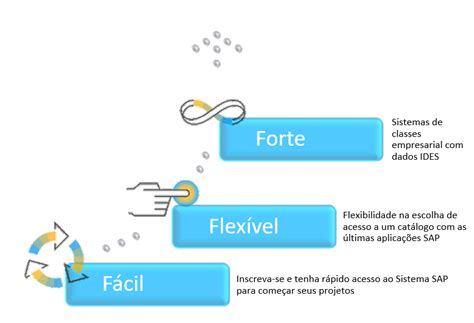 Sap Remote Access And Connectivity Sap Rac Sap Community