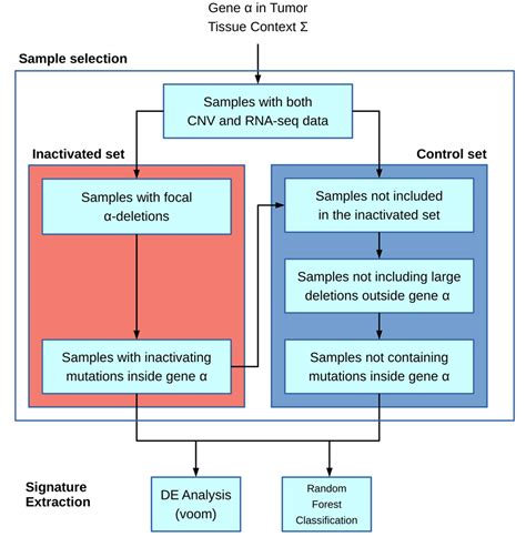 Reverse Engineering Cancer Inferring Transcriptional Gene Signatures